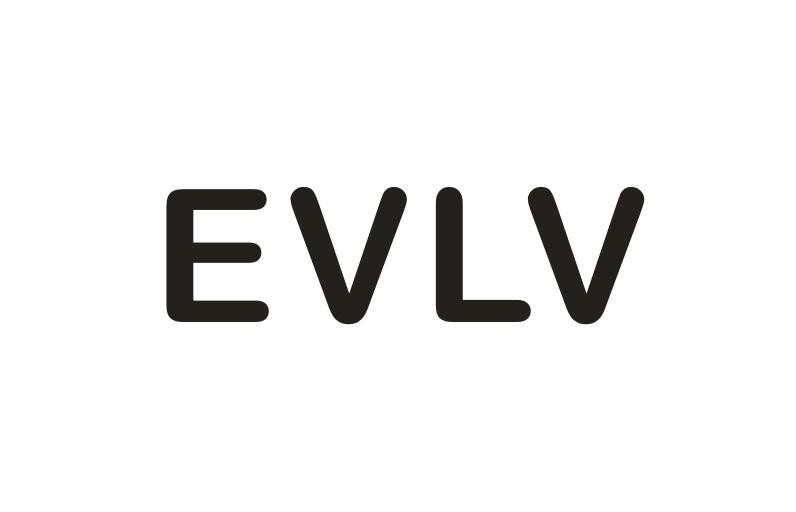 18类-箱包皮具EVLV商标转让