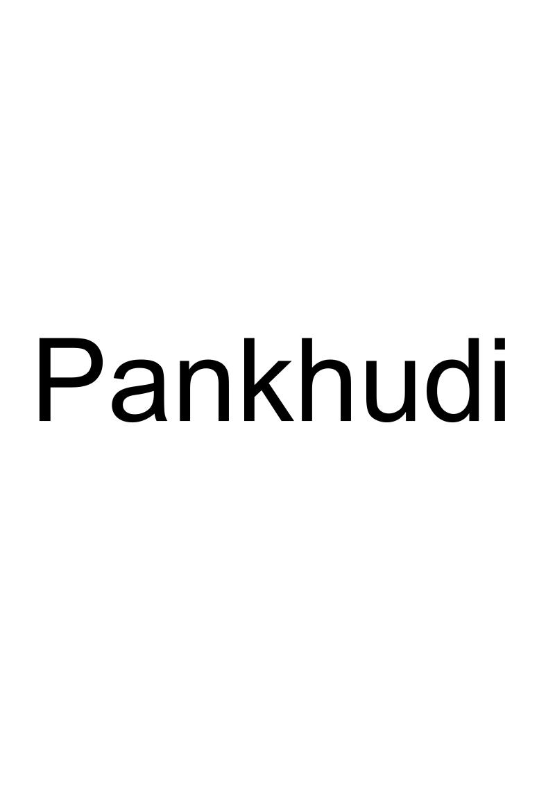 PANKHUDI商标转让