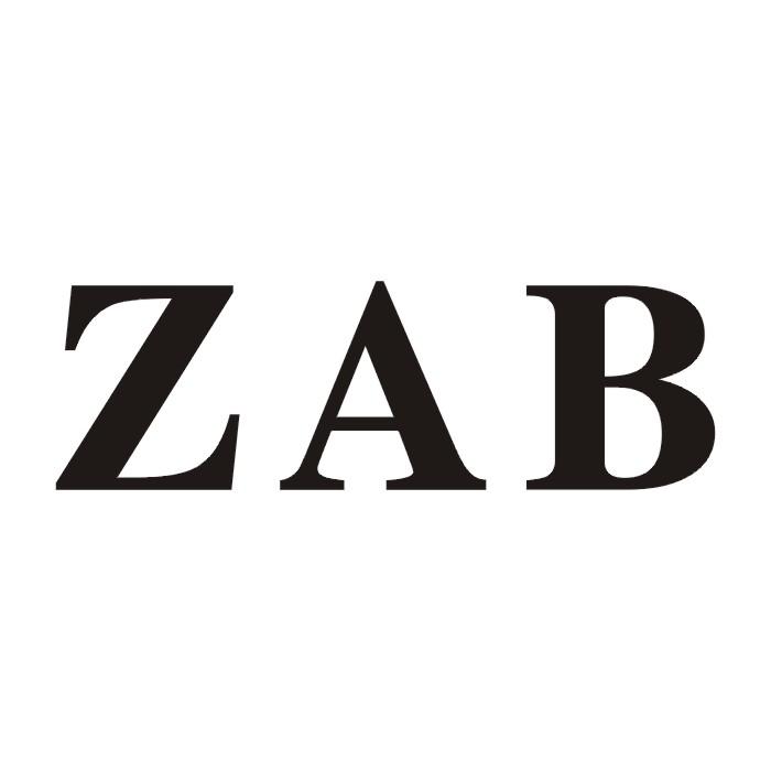 11类-电器灯具ZAB商标转让