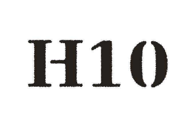 H 10商标转让