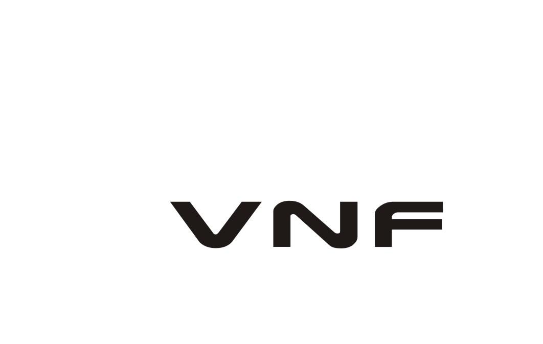 18类-箱包皮具VNF商标转让