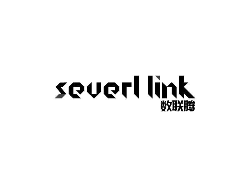 09类-科学仪器数联腾 SEVERL LINK商标转让