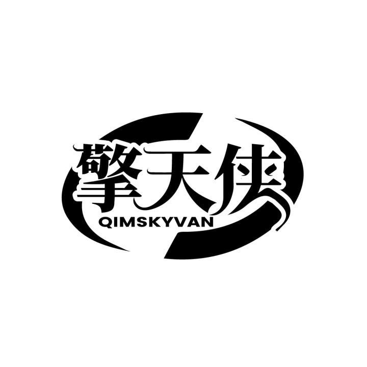 09类-科学仪器擎天侠 QIMSKYVAN商标转让