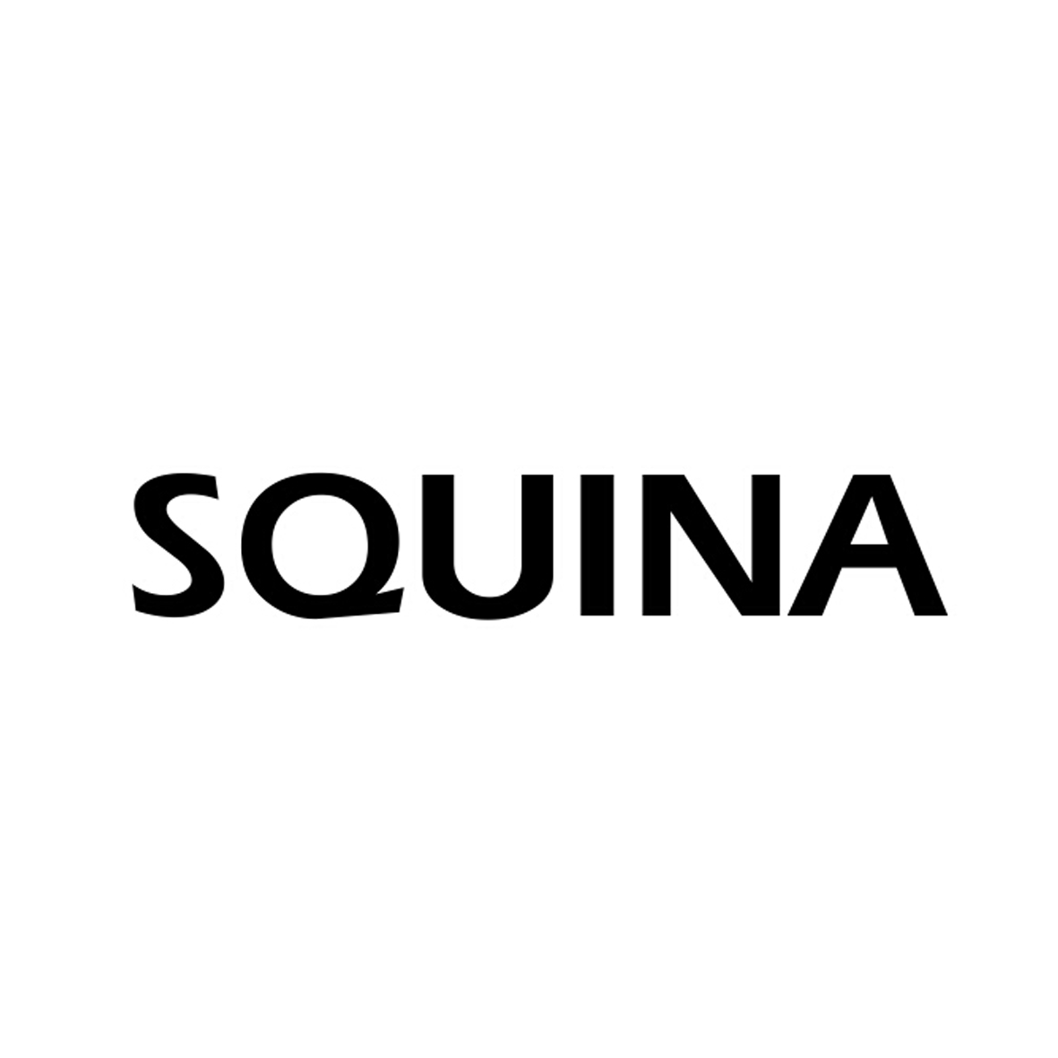 18类-箱包皮具SQUINA商标转让
