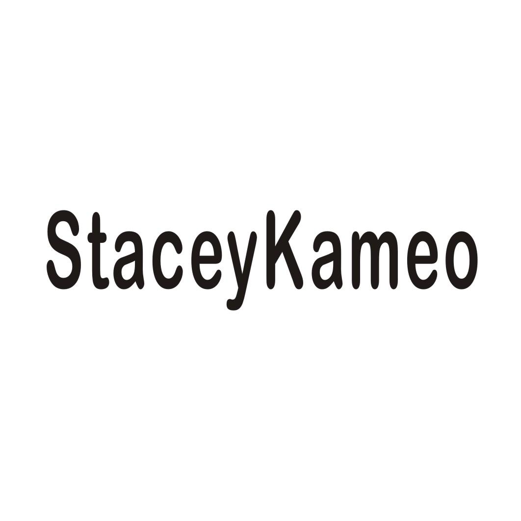 18类-箱包皮具STACEYKAMEO商标转让