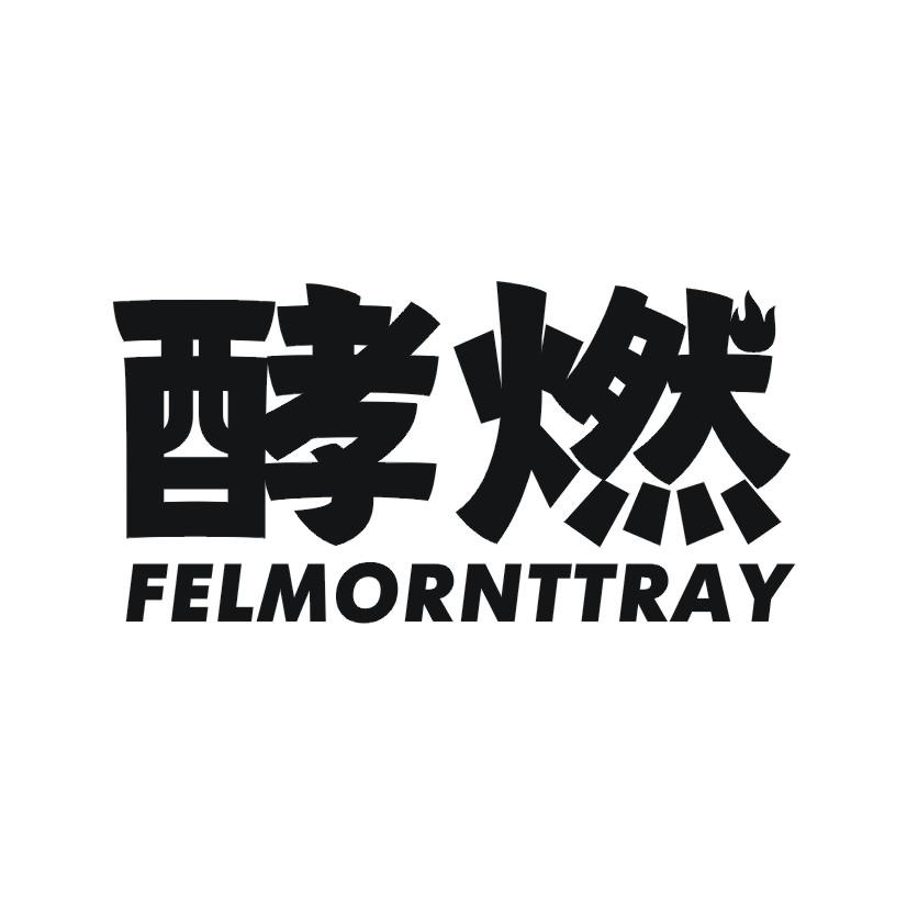 酵燃 FELMORNTTRAY