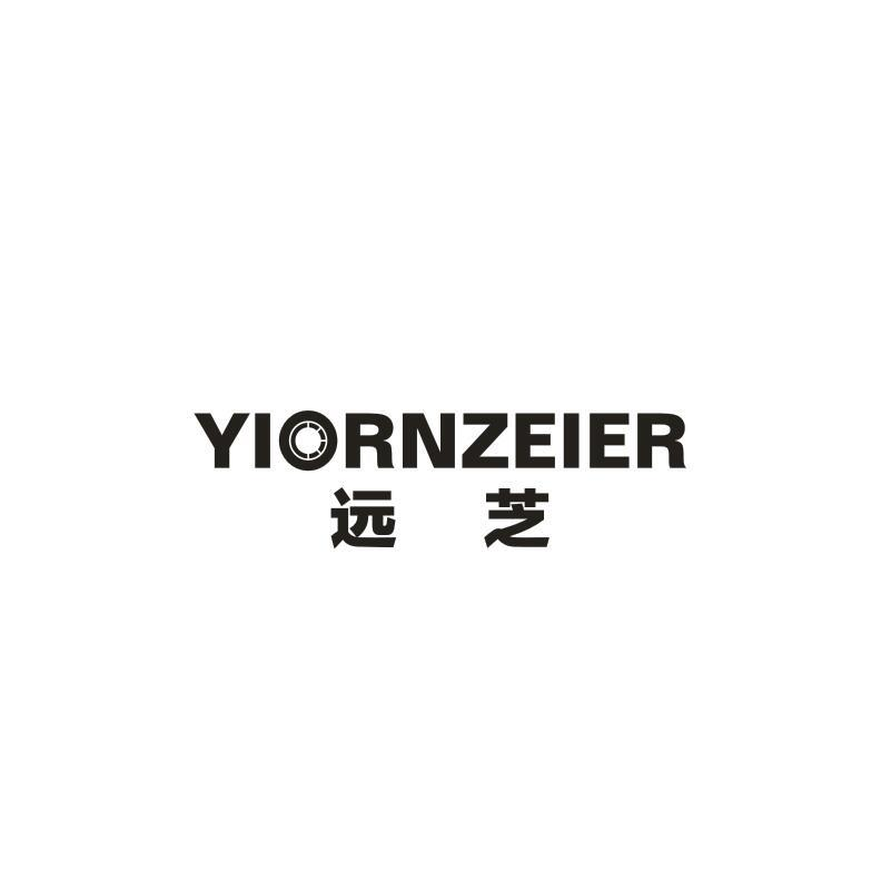 09类-科学仪器远芝 YIORNZEIER商标转让