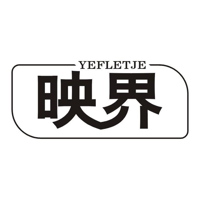 09类-科学仪器YEFLETJE映界商标转让