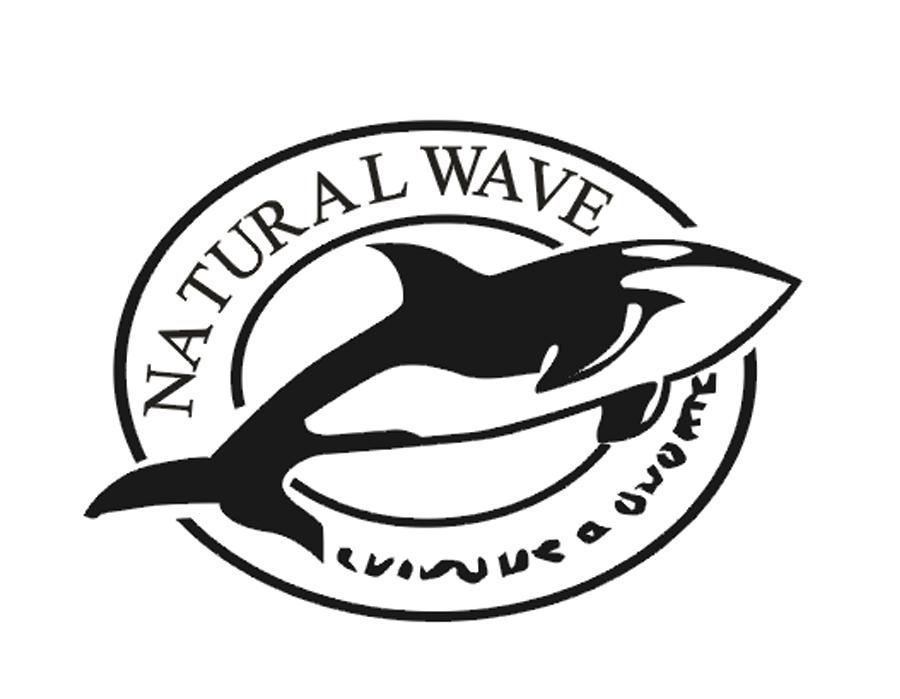 25类-服装鞋帽NATURAL WAVE商标转让