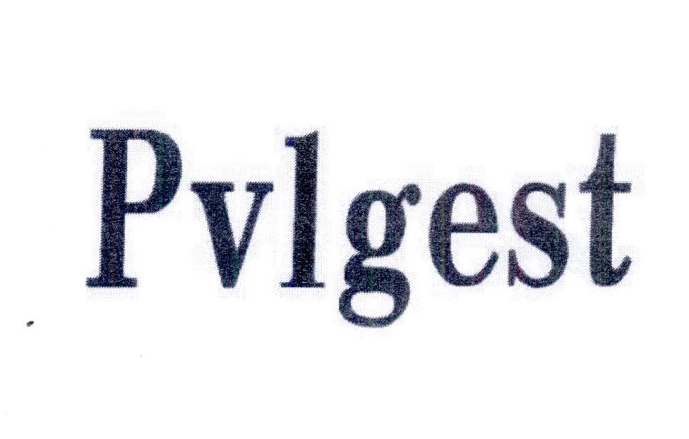 08类-工具器械PVLGEST商标转让