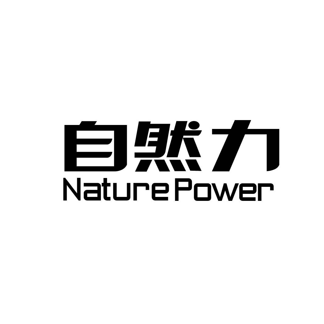 40类-材料加工自然力  NATURE POWER商标转让