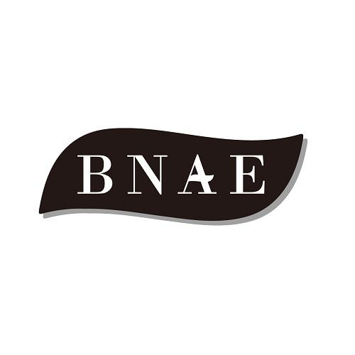 03类-日化用品BNAE商标转让