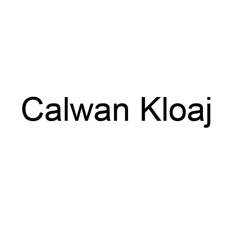 18类-箱包皮具CALWAN KLOAJ商标转让