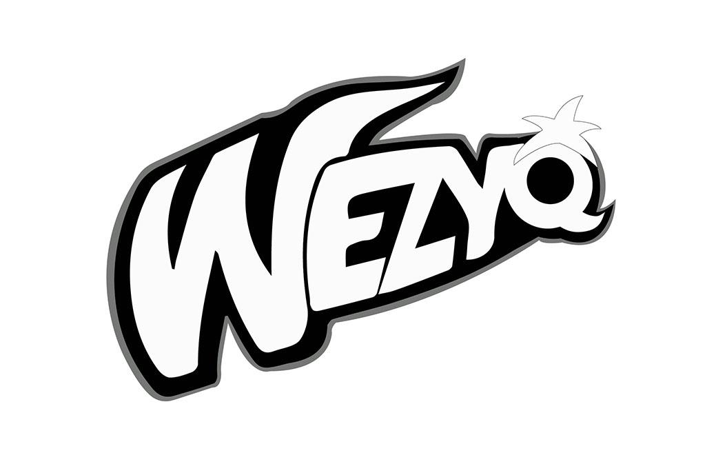 41类-教育文娱WEZYQ商标转让