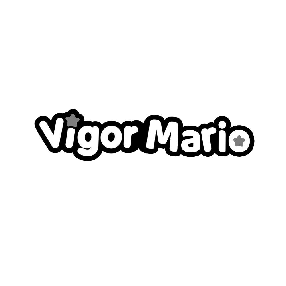 28类-健身玩具VIGOR MARIO商标转让