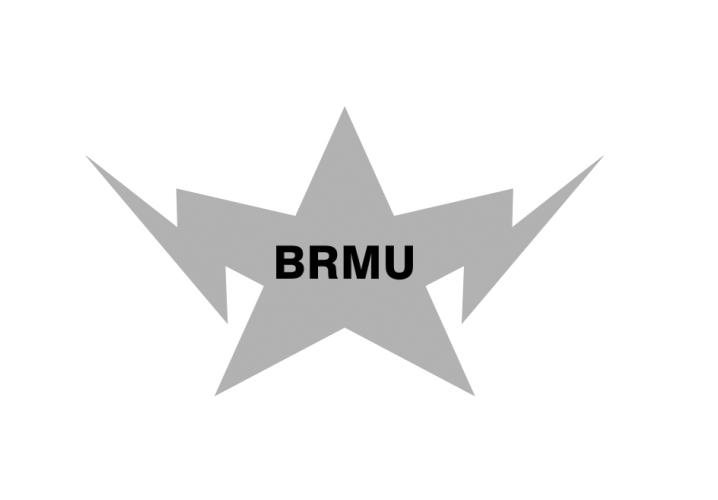 25类-服装鞋帽BRMU商标转让