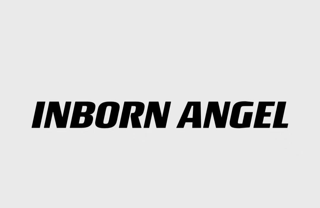 35类-广告销售INBORN ANGEL商标转让