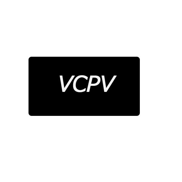 03类-日化用品VCPV商标转让