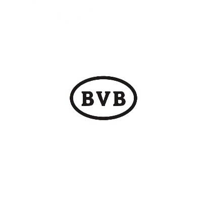 BVB商标转让