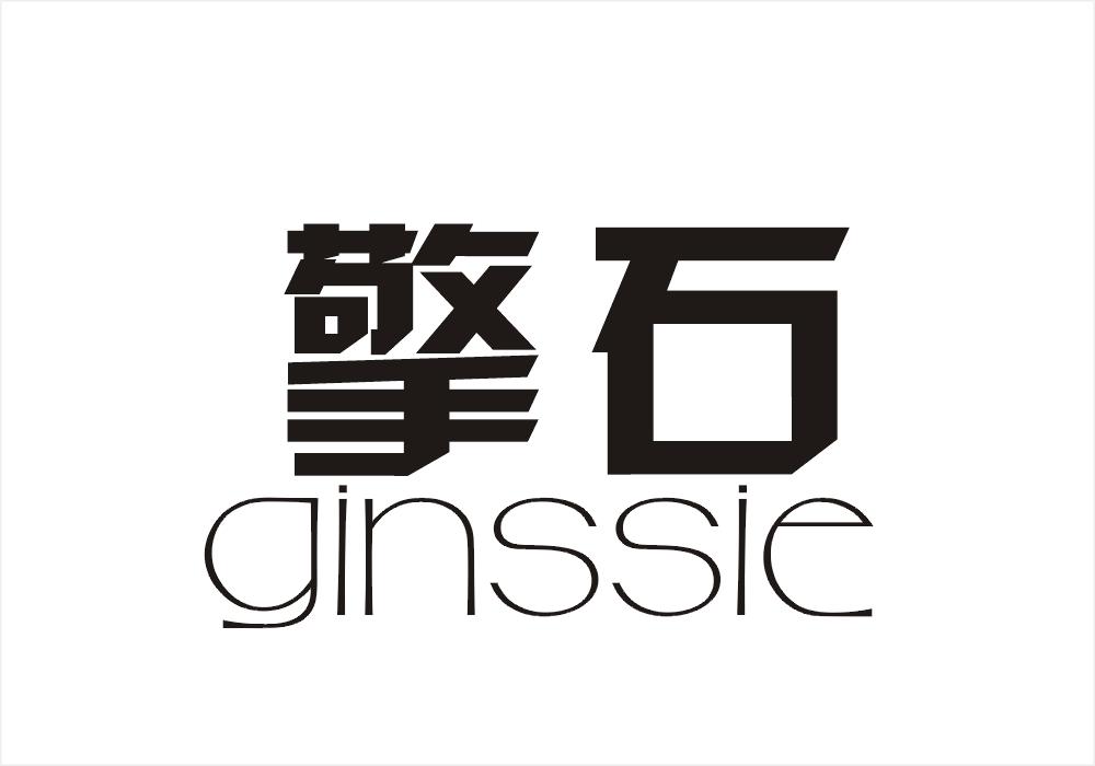 09类-科学仪器擎石 GINSSIE商标转让