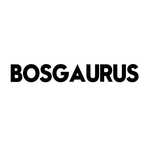 43类-餐饮住宿BOSGAURUS商标转让
