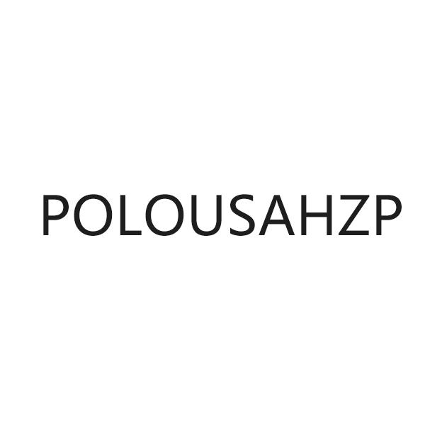 03类-日化用品POLOUSAHZP商标转让