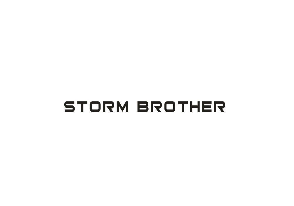 25类-服装鞋帽STORM BROTHER商标转让