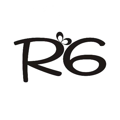 R6商标转让