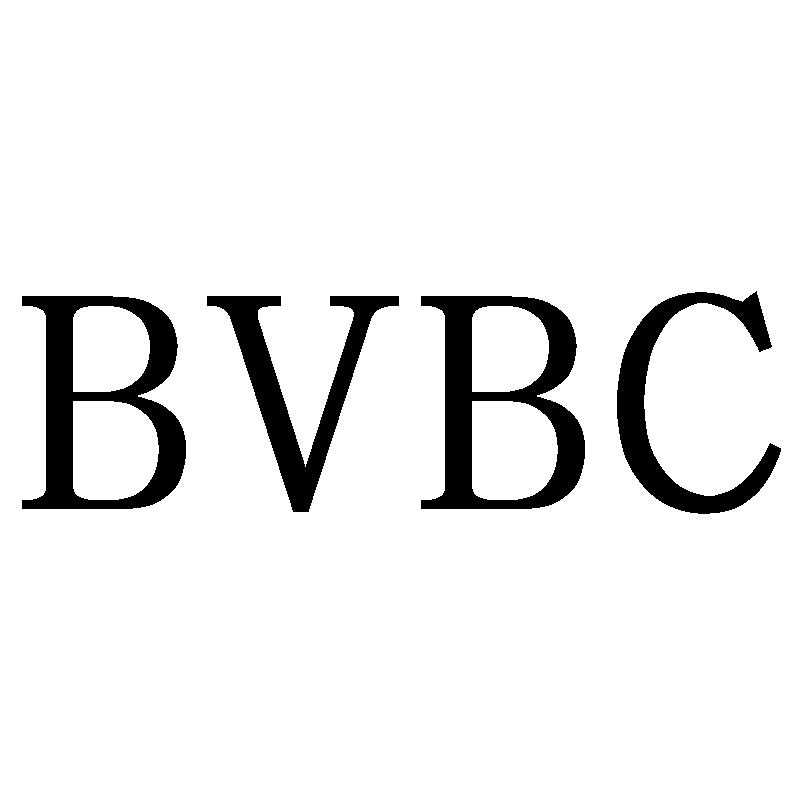 09类-科学仪器BVBC商标转让