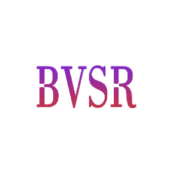 推荐18类-箱包皮具BVSR商标转让